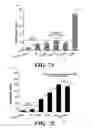 Fig. 08 - Dynamic Light Scattering Nanoplatform For High-Throughput Drug Screening