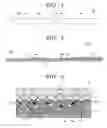 Fig. 02 - Testing device and method for producing same, and testing kit, transfer medium for testing device, and testing method