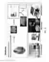 Fig. 03 - Method of Assessing Infection Status