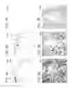 Fig. 05 - Method of treating cervical neoplasia in patients infected with human papilloma virus