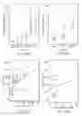 Fig. 07 - Method of treating cervical neoplasia in patients infected with human papilloma virus