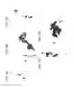 Fig. 10 - Method of treating cervical neoplasia in patients infected with human papilloma virus