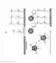 Fig. 71 - System and method for protein corona sensor array for early detection of diseases