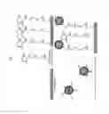 Fig. 72 - System and method for protein corona sensor array for early detection of diseases