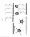 Fig. 76 - System and method for protein corona sensor array for early detection of diseases