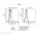Fig. 08 - Antibodies binding to trimeric TNF alpha epitopes