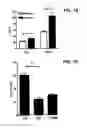 Fig. 02 - Future cardiac event biomarkers CCL3, CCL5, and CCL18