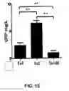 Fig. 04 - Future cardiac event biomarkers CCL3, CCL5, and CCL18