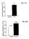 Fig. 32 - Future cardiac event biomarkers CCL3, CCL5, and CCL18