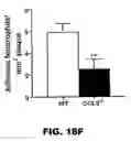 Fig. 37 - Future cardiac event biomarkers CCL3, CCL5, and CCL18