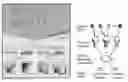 Fig. 01 - Compositions and methods for programmable sensing and control through combinatorial molecular interactions