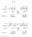 Fig. 55 - Compositions and methods for programmable sensing and control through combinatorial molecular interactions