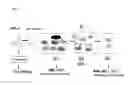 Fig. 09 - METHODS OF VALIDATING CANDIDATE COMPOUNDS FOR USE IN TREATING COPD AND OTHER DISEASES