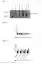 Fig. 06 - DIAGNOSTIC TARGET