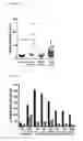 Fig. 08 - DIAGNOSTIC TARGET