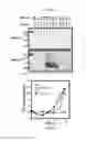 Fig. 07 - DETECTION OF INFECTIOUS PRION PROTEIN BY SEEDED CONVERSION OF RECOMBINANT PRION PROTEIN