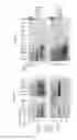 Fig. 17 - DETECTION OF INFECTIOUS PRION PROTEIN BY SEEDED CONVERSION OF RECOMBINANT PRION PROTEIN