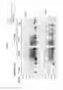 Fig. 22 - DETECTION OF INFECTIOUS PRION PROTEIN BY SEEDED CONVERSION OF RECOMBINANT PRION PROTEIN
