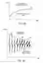 Fig. 04 - Variable gain amplification for linearization of NMR signals