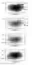 Fig. 05 - Display of imaging data in a moving viewport