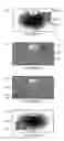 Fig. 06 - Display of imaging data in a moving viewport
