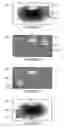 Fig. 08 - Display of imaging data in a moving viewport