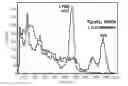 Fig. 01 - Scintillator and method for manufacturing the same