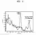 Fig. 07 - Scintillator and method for manufacturing the same