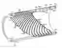 Fig. 01 - Antennas for wellbore logging tools having a plurality of ferrite channels orthogonal to the plurality of winding grooves
