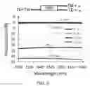 Fig. 03 - BROADBAND GENERAL INTERFERENCE MMI-BASED POLARIZATION BEAM SPLITTER