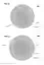 Fig. 10 - Multichannel optical coupler array