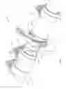Fig. 02 - Torque coupler and support point