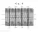 Fig. 03 - Liquid crystal display device