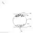 Fig. 01 - ELECTROPHORETIC PRIVACY DEVICES