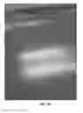 Fig. 03 - COMPOSITIONS COMPRISING MINERAL SPIRITS AND METHODS RELATED THERETO