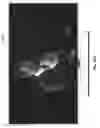 Fig. 55 - Systems and methods for providing user interfaces in an intelligent television