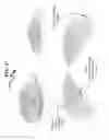 Fig. 48 - Tactile Touch Sensor System and Method