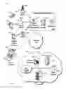 Fig. 12 - Content management system extensions