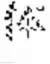 Fig. 45 - Managing real-time handwriting recognition