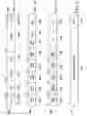 Fig. 07 - Streaming engine with fetch ahead hysteresis
