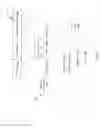Fig. 02 - FLOATING POINT INSTRUCTION FORMAT WITH EMBEDDED ROUNDING RULE