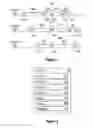 Fig. 04 - Parallel replay of executable code