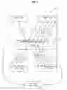 Fig. 06 - Determining integrity of database workload transactions