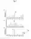 Fig. 07 - Code for animal ID marking