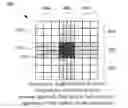 Fig. 01 - Multi-resolution fingerprint sensor