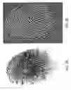 Fig. 03 - Multi-resolution fingerprint sensor