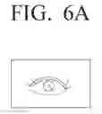 Fig. 12 - User terminal apparatus and iris recognition method thereof