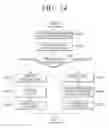 Fig. 43 - User terminal apparatus and iris recognition method thereof
