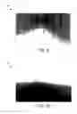 Fig. 08 - Detecting roadway objects in real-time images