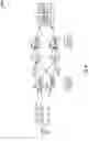 Fig. 05 - Object detection neural networks